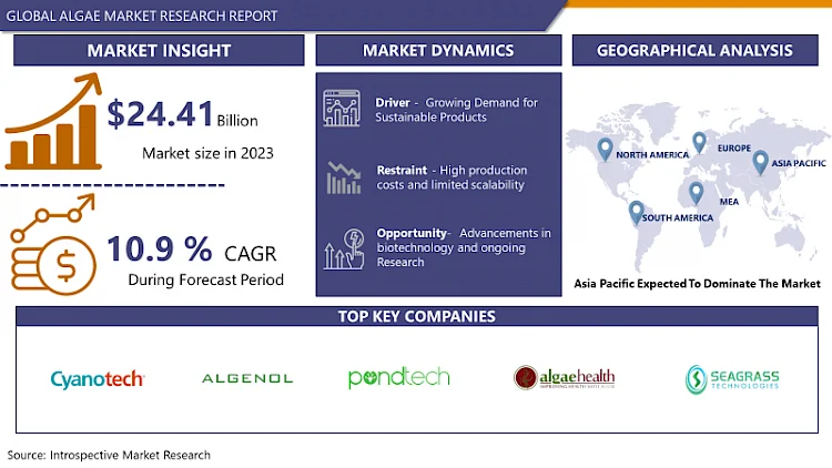 Algenmarkt: Größe, Anteil, Trends, Analyse und Prognose der Treiber, 2024-2032