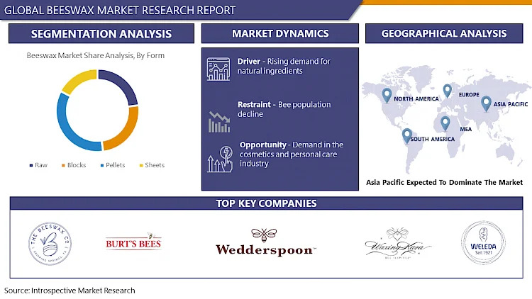 Marktgröße, Anteil, Wachstum und Chancen von Bienenwachs bis – 2032 | IMR