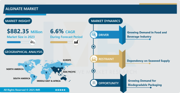 The Global Alginate Market Size Was Valued at USD 882.35 Million in 2023 and is Projected to Reach USD 1568.40 Million by 2032