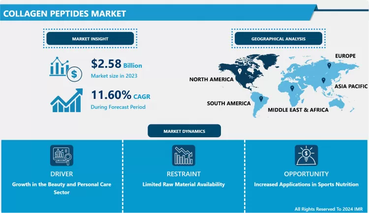 Collagen Peptides Market