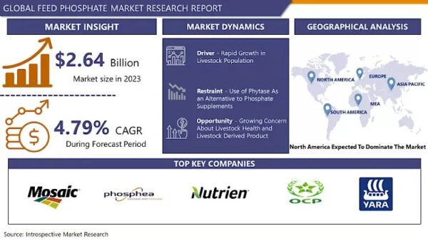 Feed Phosphate Market Size Projected to Reach USD 4.02 Billion by 2032