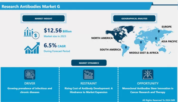 The Global Research Antibodies Market Size Was Valued at USD 12.56 Billion in 2023 and is Projected to Reach USD 20.79 Billion by 2032