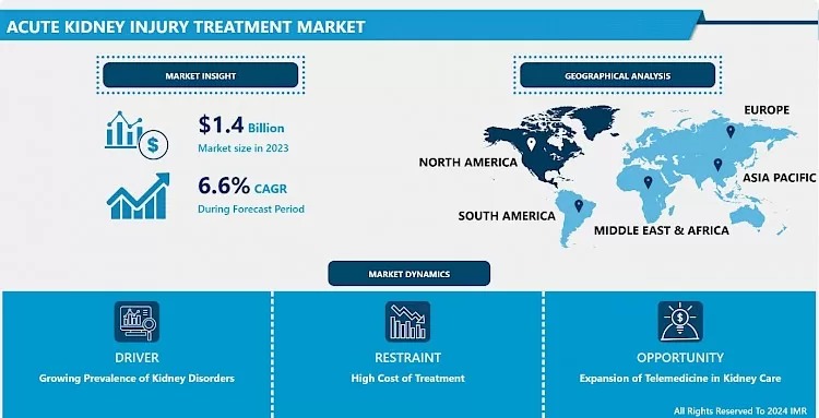 Acute Kidney Injury Treatment Market