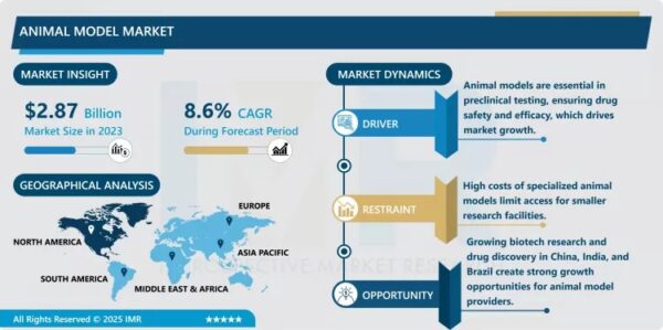 Animal Model Market to Grow at a CAGR of 8.6% Through 2032