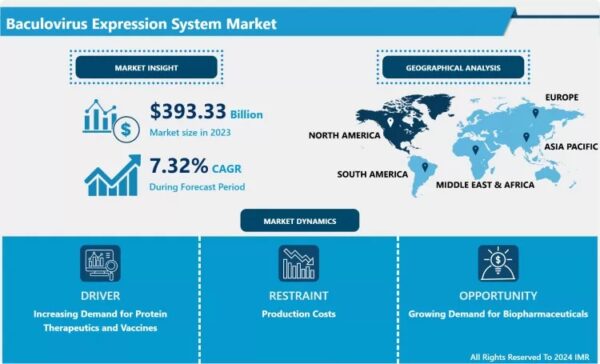 Baculovirus Expression System Market Size Projected to Reach USD 744.71 Billion by 2032