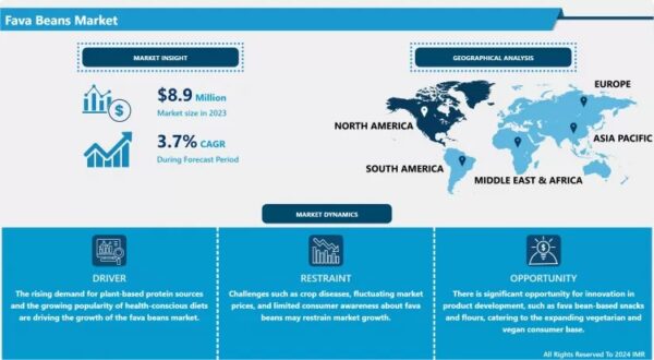 Fava Beans Market Size to Reach USD 12.5 Million by 2032