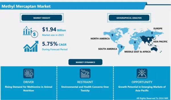 Methyl Mercaptan Market: Global Outlook & Market Dynamics