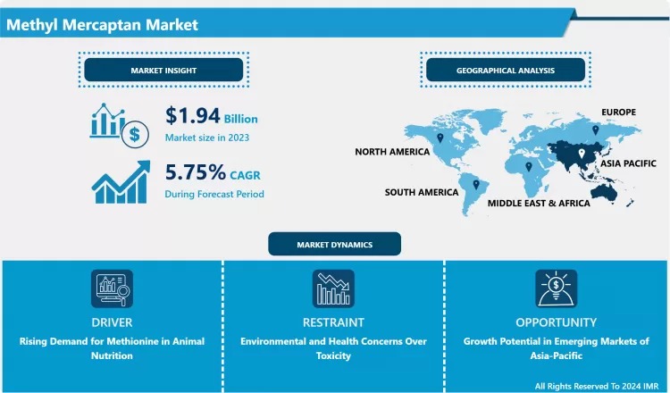 Methyl Mercaptan Market