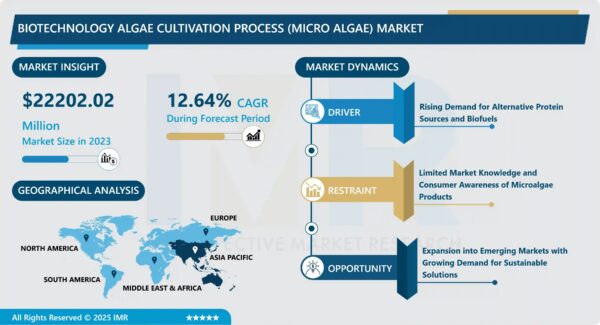 Biotechnology Algae Cultivation Process (Micro Algae) Market Size Projected to Reach USD 64,807.65 Million by 2032